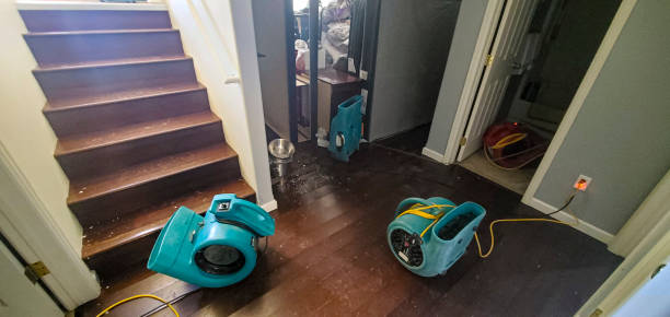 Best Water damage contractors near me  in Edmonds, WA