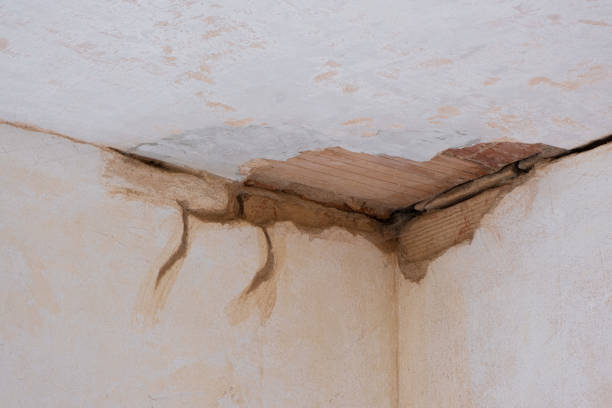 Best Basement water damage restoration  in Edmonds, WA