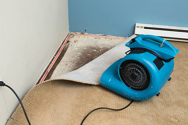 Best 24-hour water damage restoration  in Edmonds, WA